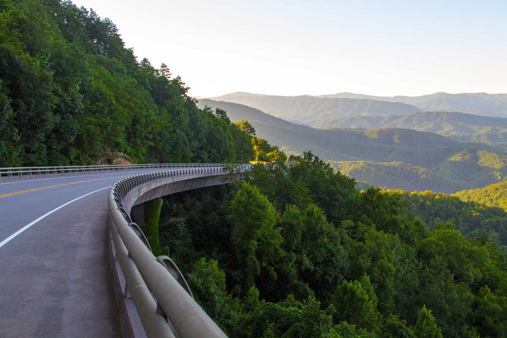 highway road with green sceneries